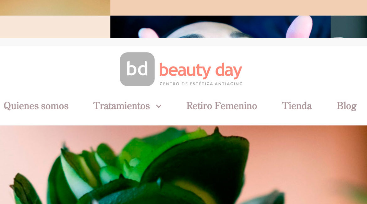 nueva web centro beauty day